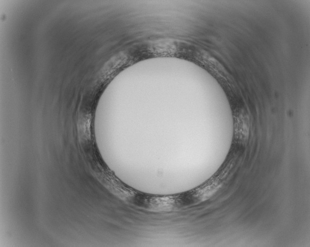 X0000062650717200601040918