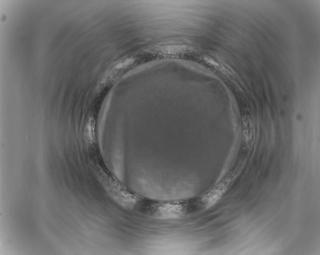 X0000062650718200601040918