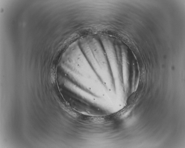 X0000062650719200601040918