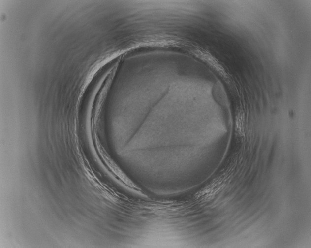 X0000062650724200601040917