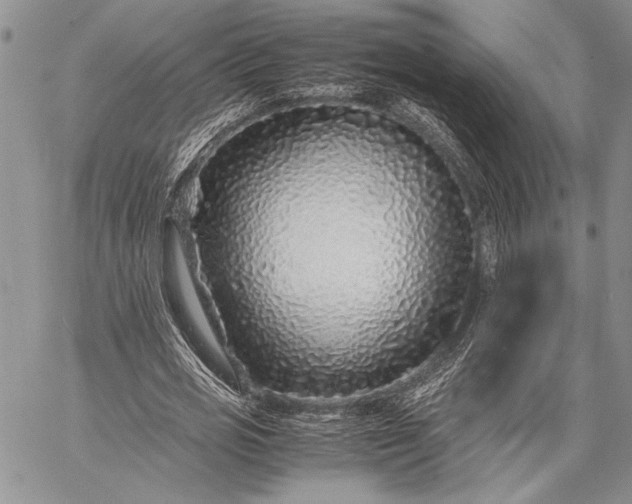 X0000062650725200601040917