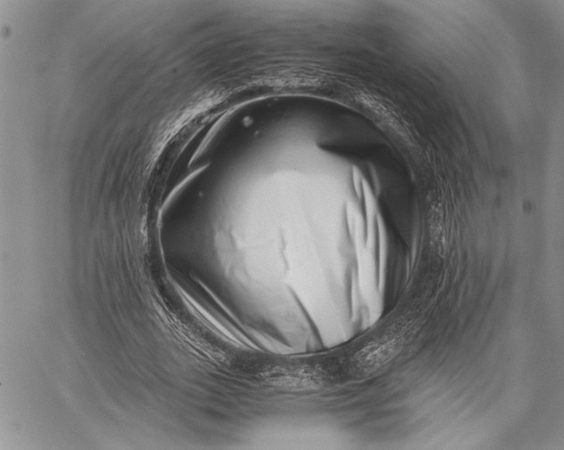 X0000062650727200601040917