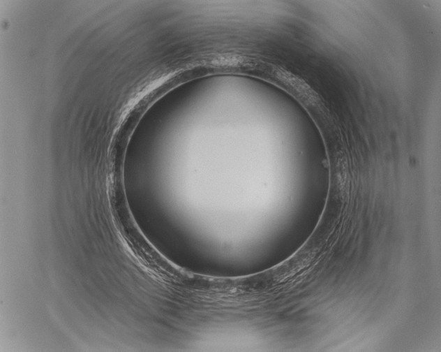 X0000062650728200601040917