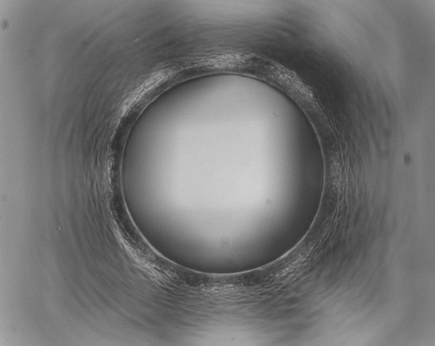 X0000062650730200601040917