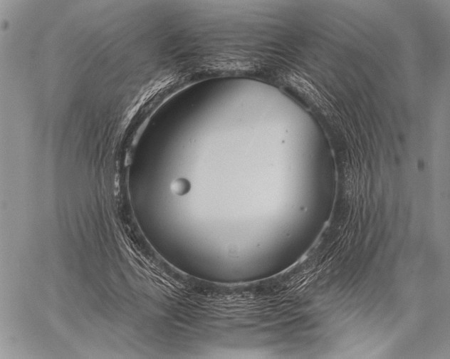 X0000062650731200601040917