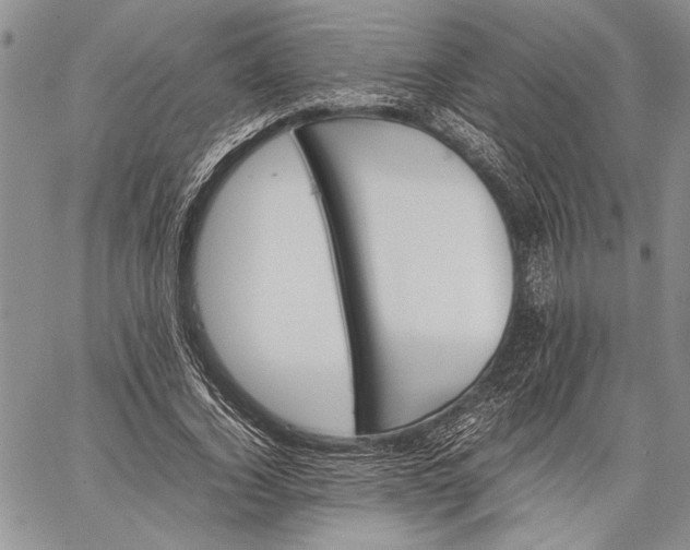 X0000062650732200601040917