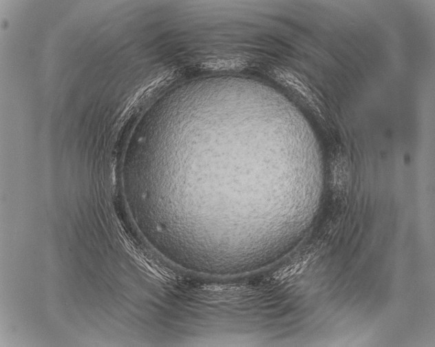 X0000062650733200601040917