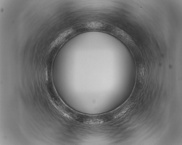 X0000062650734200601040917