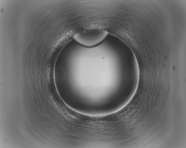 X0000062650735200601040917