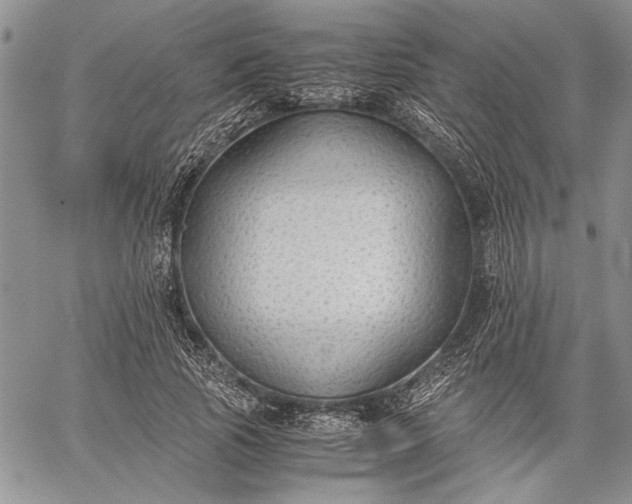 X0000062650737200601040917