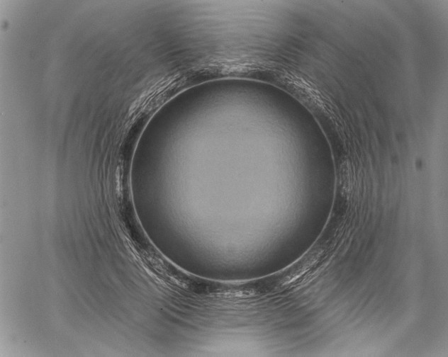 X0000062650740200601040917