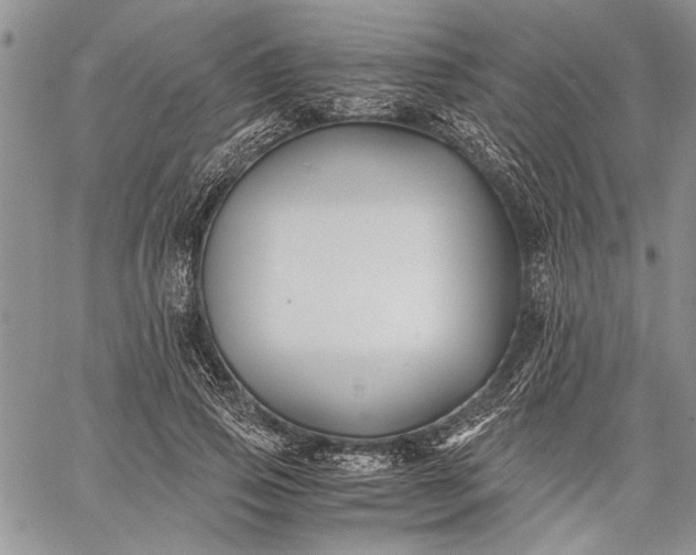 X0000062650741200601040917