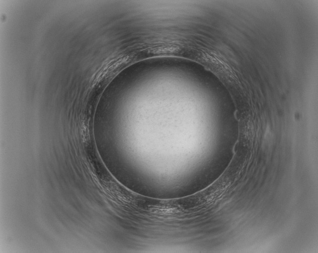 X0000062650743200601040917