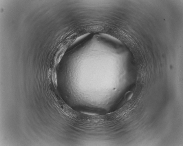 X0000062650745200601040917