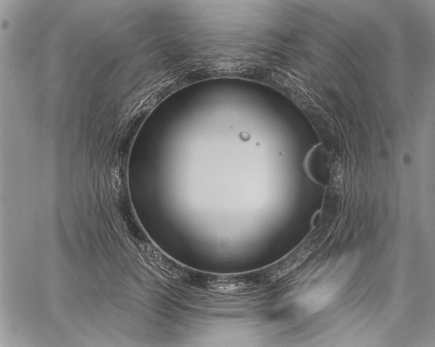 X0000062650746200601040917