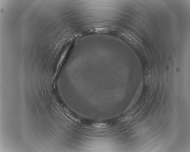 X0000062650748200601040917