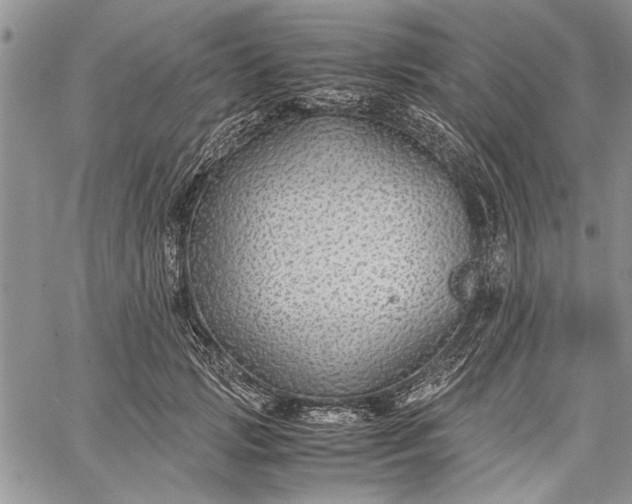 X0000062650749200601040917