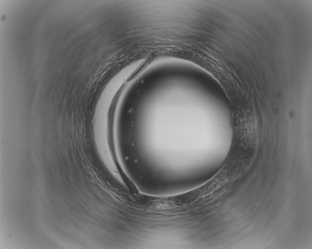 X0000062650750200601040917