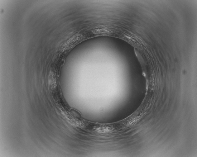 X0000062650751200601040918