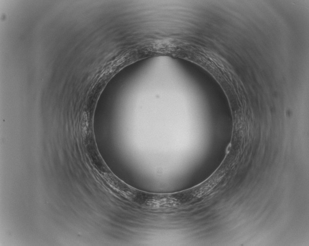 X0000062650752200601040918