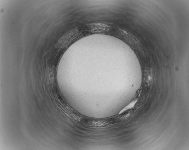 X0000062650753200601040918