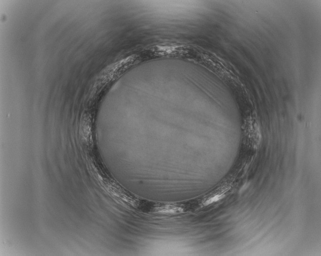 X0000062650754200601040918