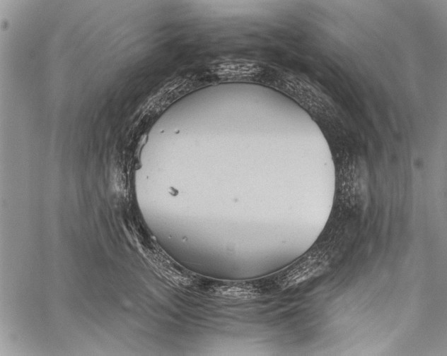 X0000062650755200601040918