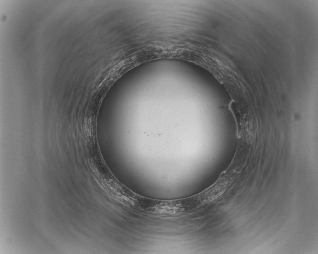 X0000062650756200601040918