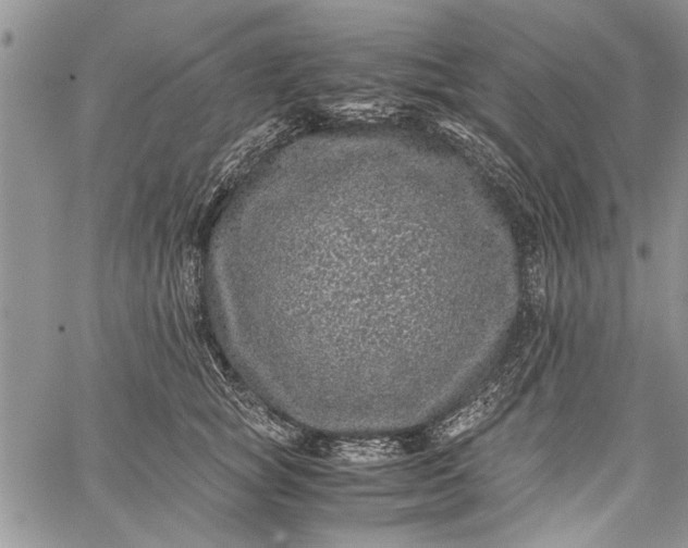 X0000062650757200601040918