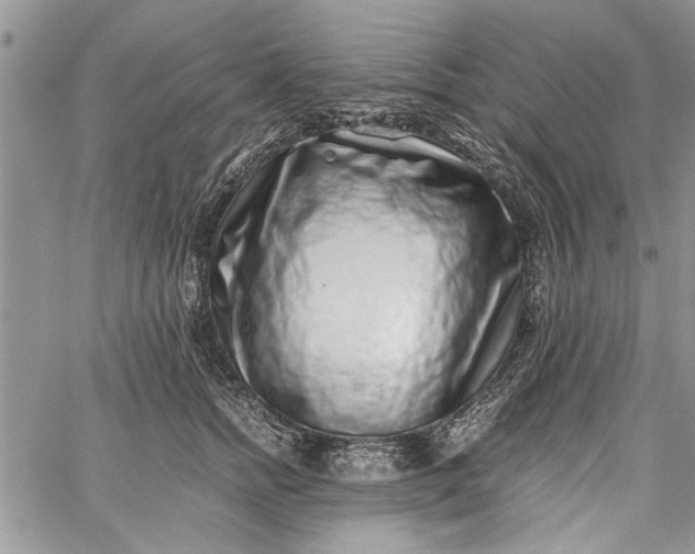 X0000062650758200601040918