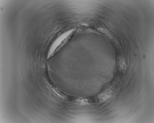 X0000062650760200601040918