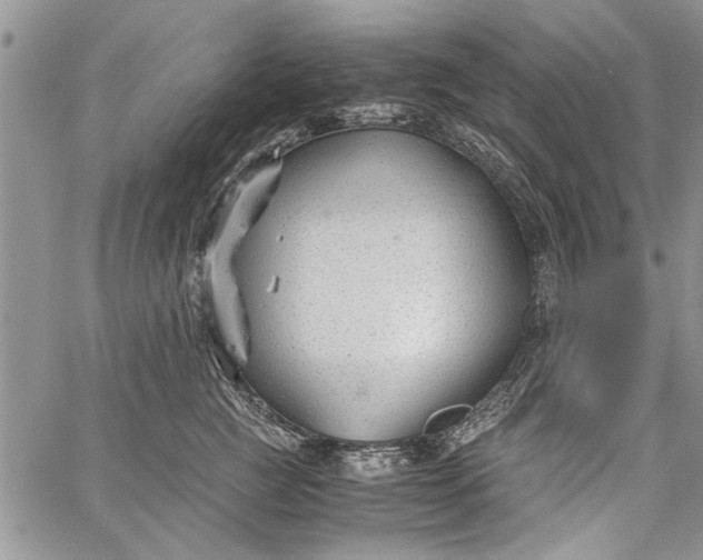 X0000062650761200601040918