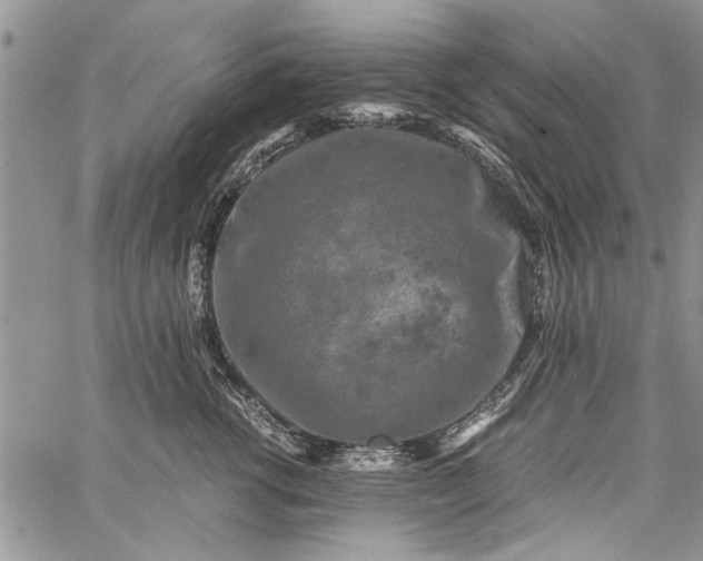 X0000062650762200601040918