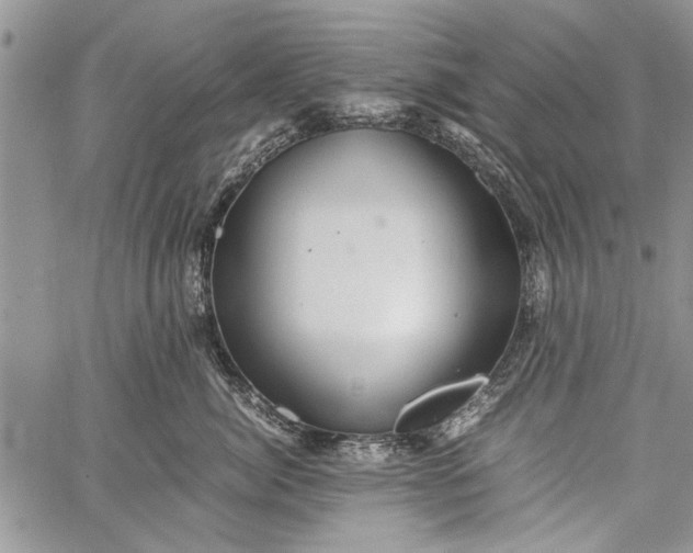 X0000062650764200601040918