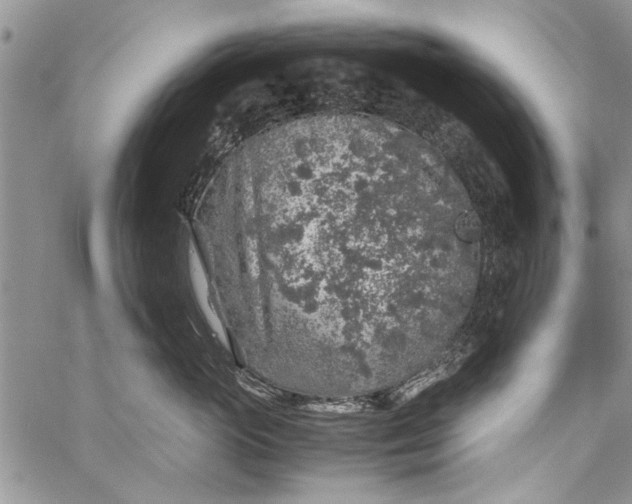 X0000062650765200601040918