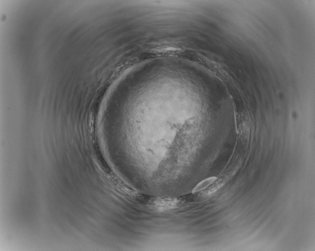 X0000062650767200601040918