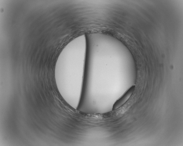 X0000062650768200601040918