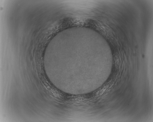 X0000062650769200601040917