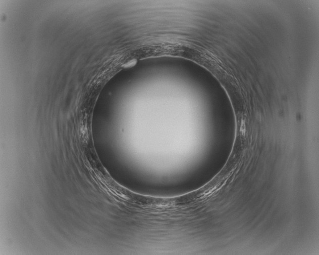 X0000062650771200601040917