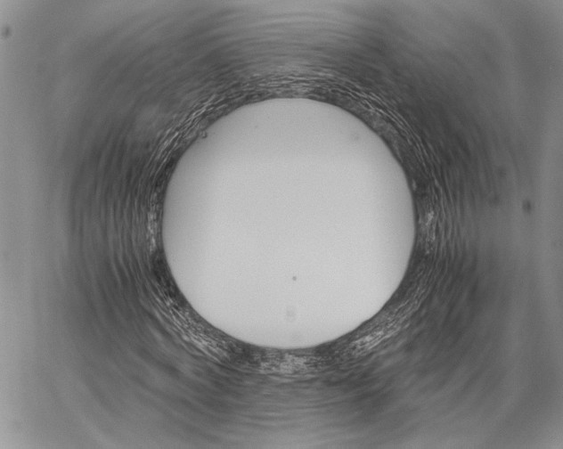 X0000062650772200601040917