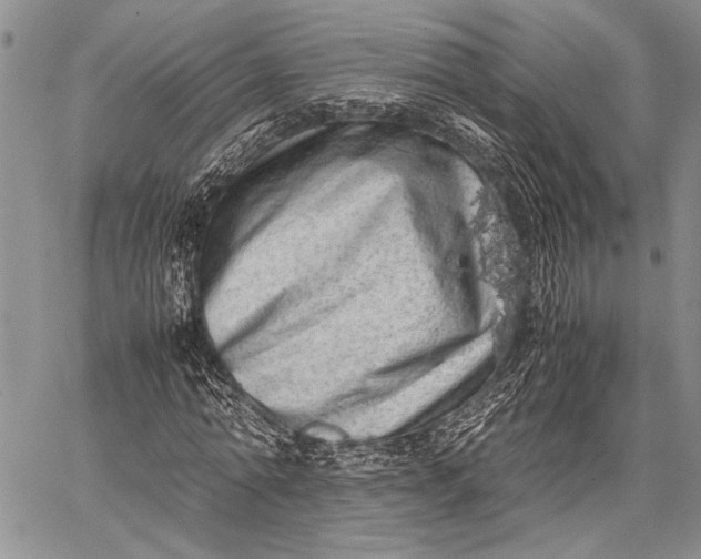 X0000062650774200601040917