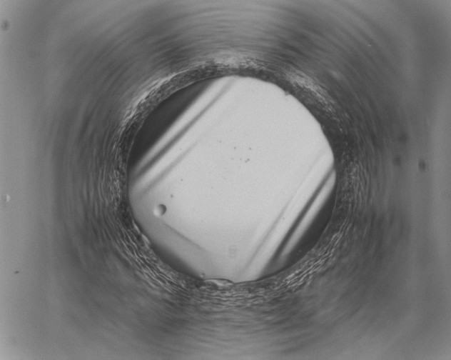 X0000062650776200601040917