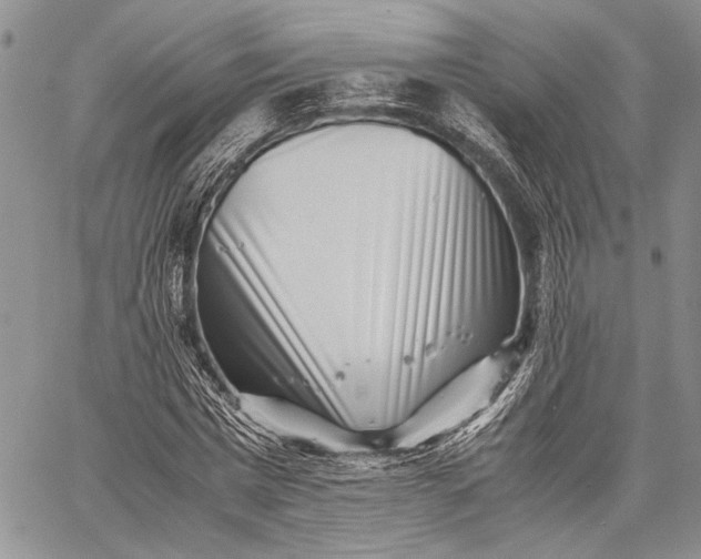 X0000062650777200601040917