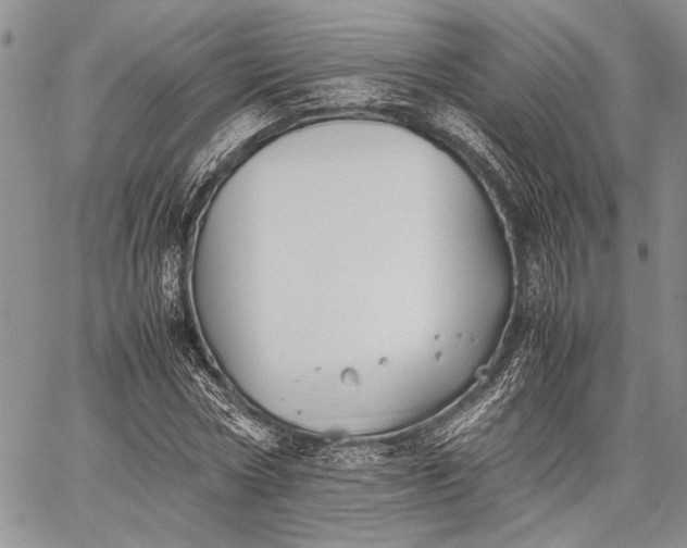 X0000062650778200601040917