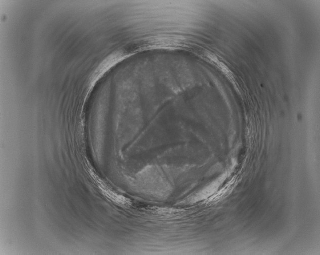 X0000062650779200601040917