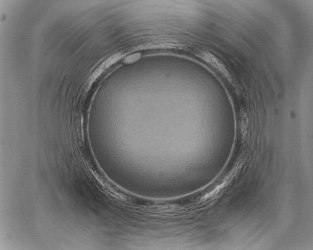 X0000062650781200601040917