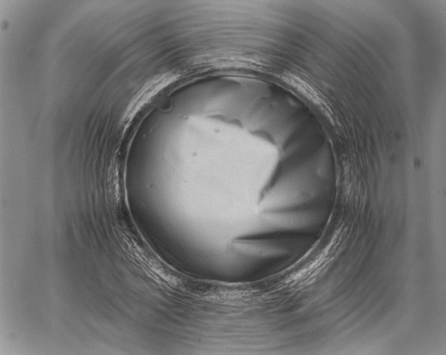 X0000062650782200601040917