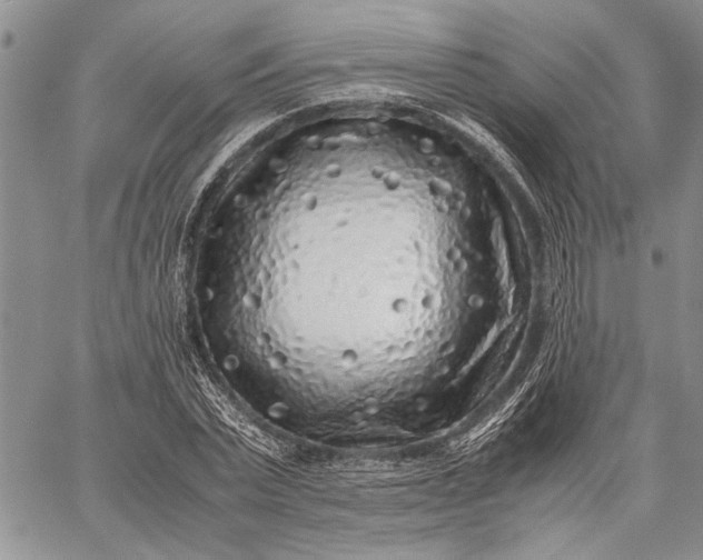 X0000062650783200601040917