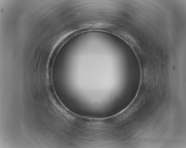 X0000062650784200601040917