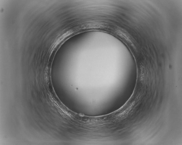 X0000062650786200601040917